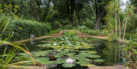 Abbotsbury Subtropical Gardens 15